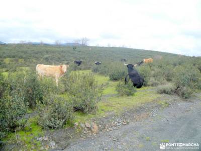 Pueblos Negros /de la arquitectura negra - Sierra Norte de Guadalajara; mochilas lisas de marcha por